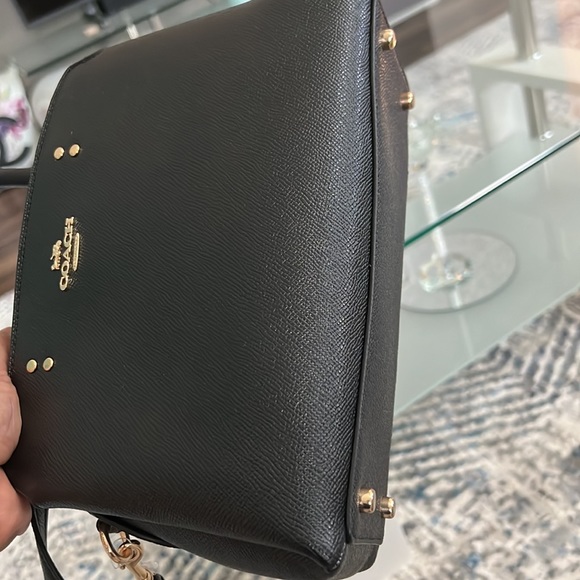 Coach Mini Lillie Carryall - Picture 5 of 9